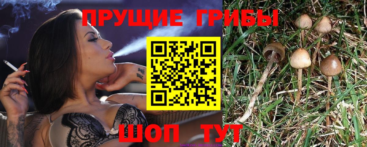 Узловая  магазин  наркотиков  Вход с VPN  Галлюциногенные грибы прущие грибы 