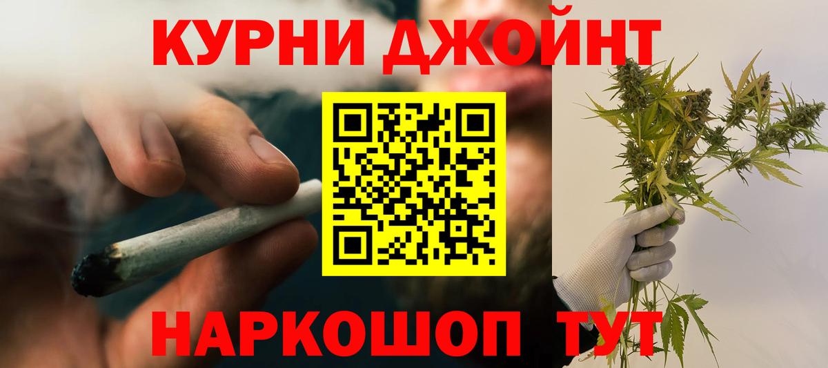 Канабис конопля Узловая